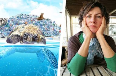 עטרה בילר, סודהסטרים