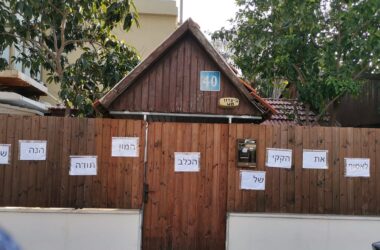 צילום - טלי טויטו