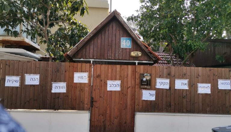 צילום - טלי טויטו