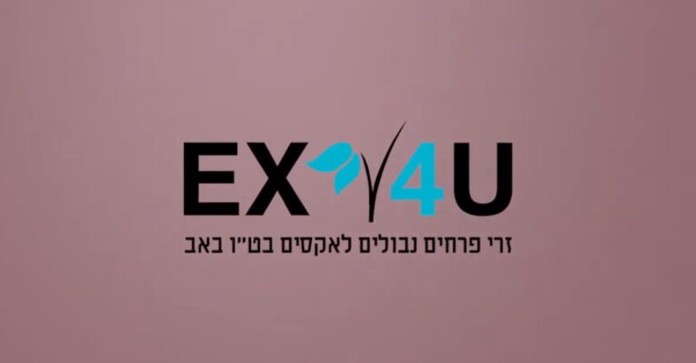 ניתוח קמפיין: אמפמ ט״ו באב אקס פור יו // עטרה בילר
