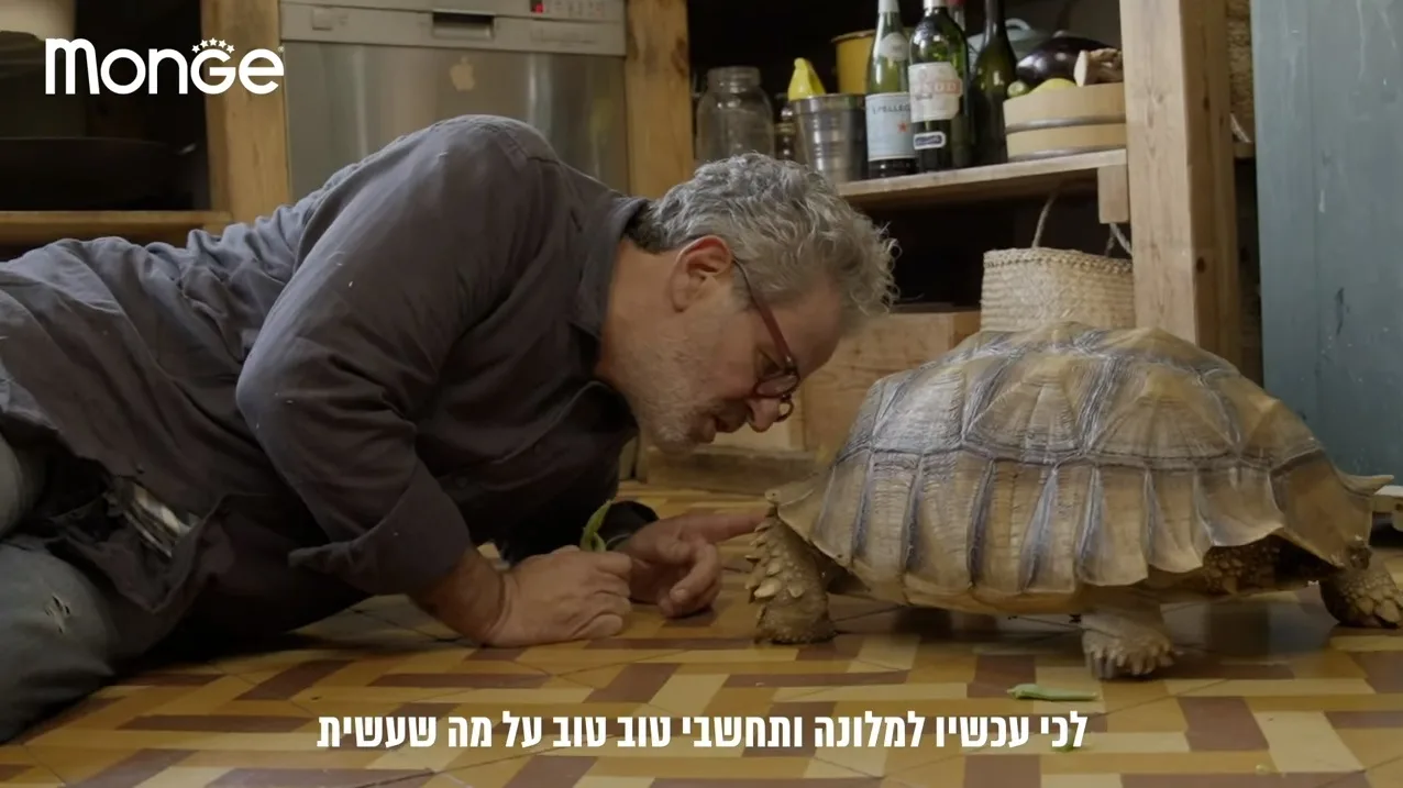 ניתוח קמפיין: מונג׳ חתוליישן שיפ // עטרה בילר