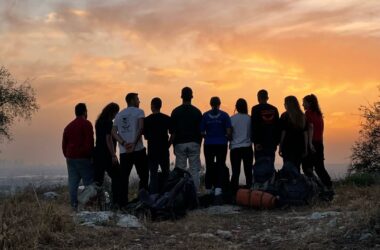 עמותת נירים