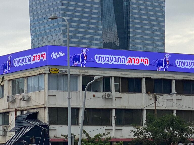 עטרה בילר מנתחת: מילקה