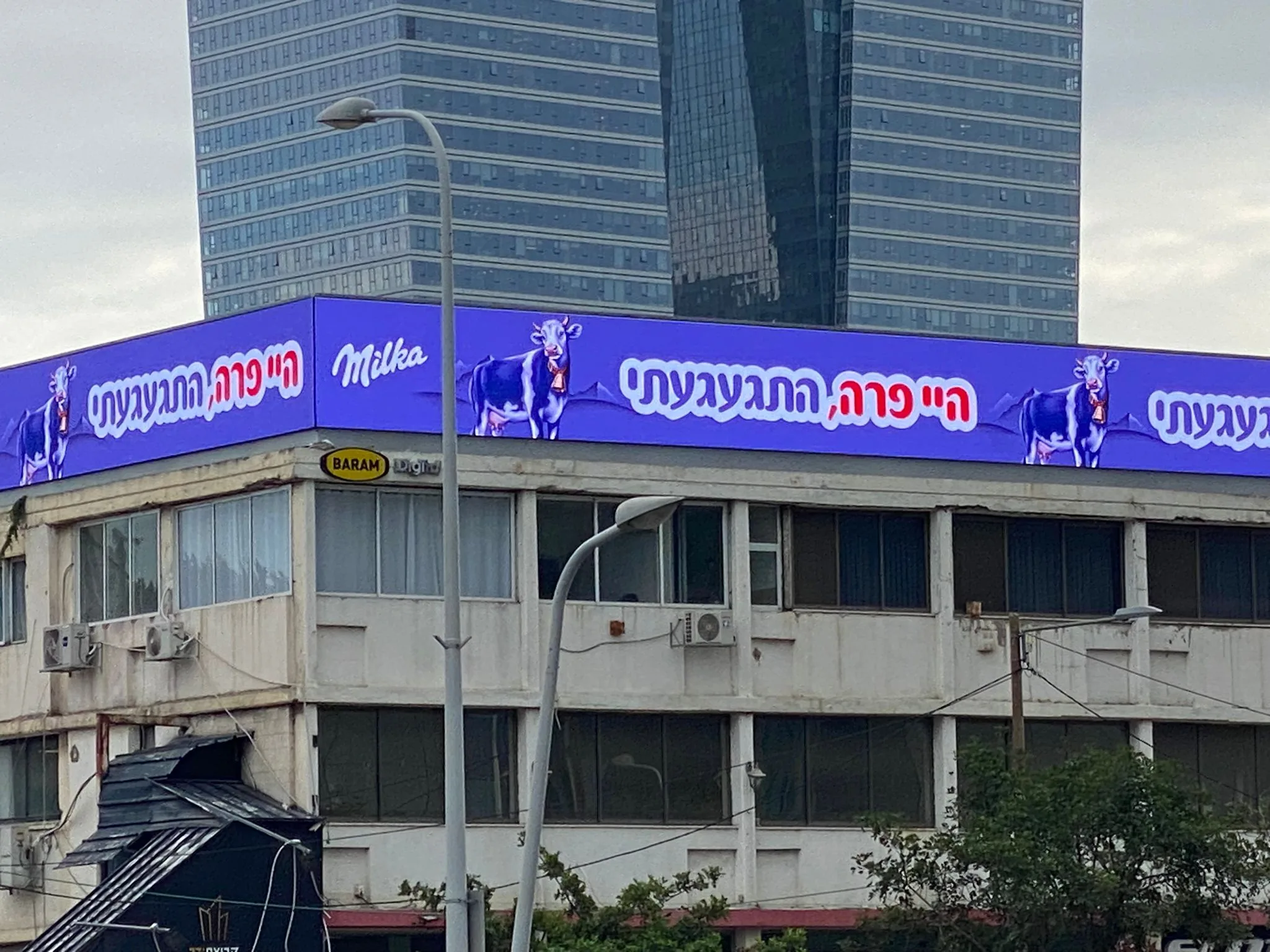עטרה בילר מנתחת: מילקה