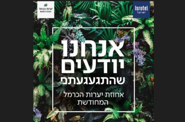קמפיין יערות הכרמל. צילום- ליאור גורנדמן