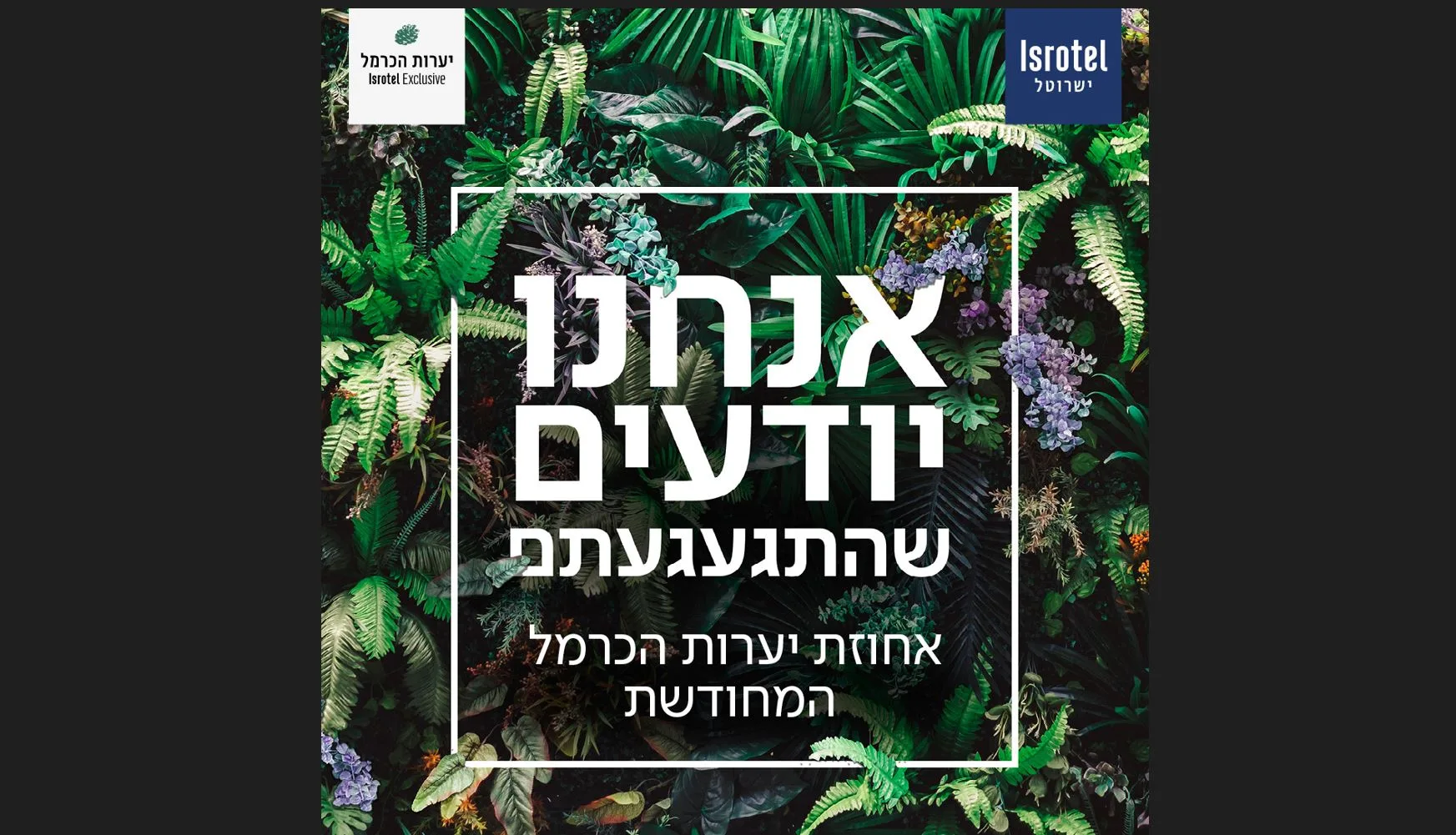 קמפיין יערות הכרמל. צילום- ליאור גורנדמן