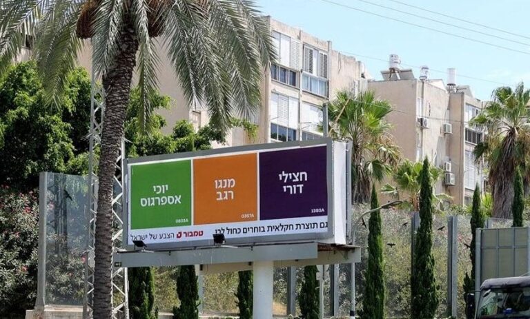 עטרה בילר מנתחת: טמבור הצבע של ישראל כחול לבן